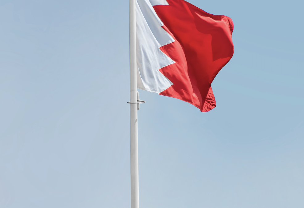 Joint Letter to the King of Bahrain: Protect the Nationality of Bahraini Children and the Nationality Rights of Bahraini Mothers